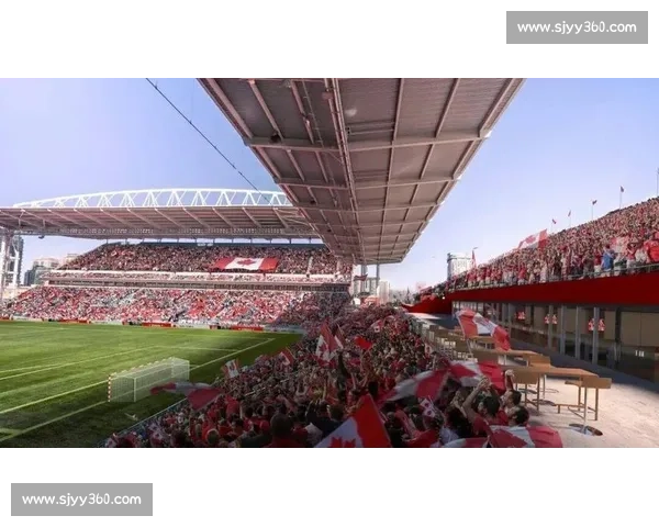 太美好了!2026世界杯多伦多,一场关于青春与热血的盛宴 太美好了!2026世界杯多伦多,一场关于青春与热血的盛宴